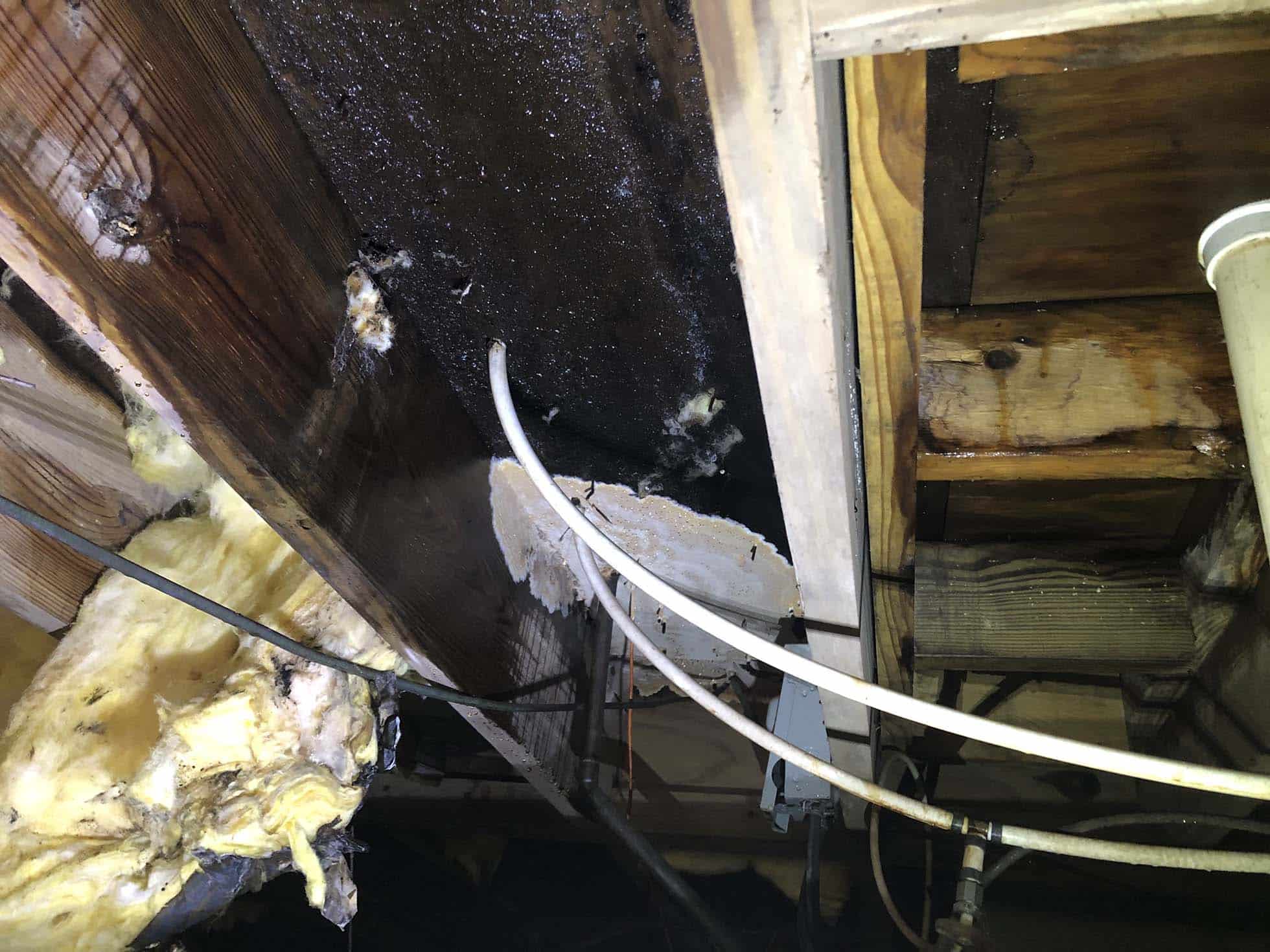 Slab Leak Repair In Bluffton SC